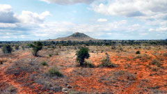 Benvenuti nell'Africa sub-Sahariana