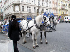 プラハ旧市街の風景