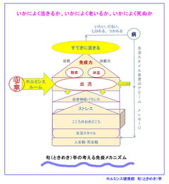 ホリスティックライフプラットフォーム 旬(ときめき)亭