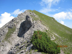 Galinakopf
