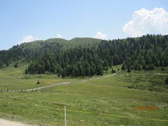 Alpe Di Loson