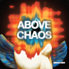 BIRD’S VIEW - Above Chaos 