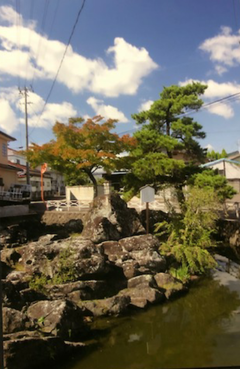 市街地の中の「沖の石」