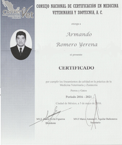 Armando