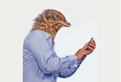 Twitter - Antropomedia