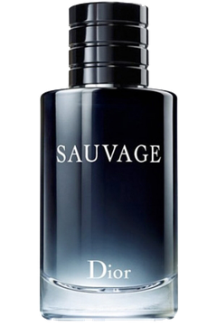 Dior Sauvage Review Recensione