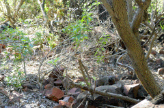 Bruno Deveze Botswana trek ©