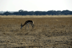 Bruno Deveze Botswana trek ©
