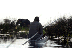 Bruno Deveze Botswana trek ©