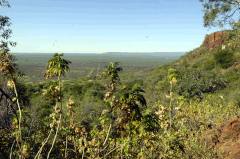 Bruno Deveze Botswana trek ©