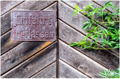Eiserne Regel