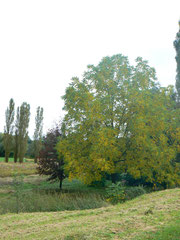 Paray-le-Monial Parc Moulin Liron 