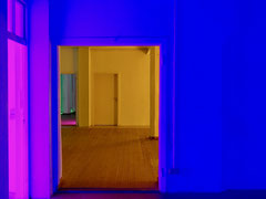 Lichtinstallation + Foto: Celia Mendoza©2025