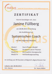 Systemischer Coach
