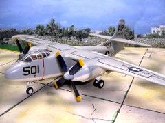 Model by Carmel Attard