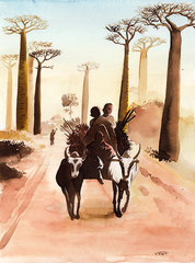 Allée des baobabs Maddagascar -aquarelle 30x40