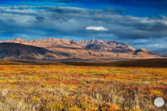 Bild: Brooks Range in the Arctic Wildlife Refuge, Alaska, "colours in the eveing", www.2u-pictureworld.de