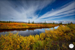 Bild: river at Dalton Highway, Alaska, "at the riverside", www.2u-pictureworld.de
