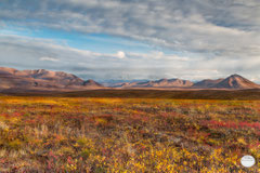 Bild: autumn colors in northern Alaska, Brooks Range in the Arctic Wildlife Refuge, Alaska, "autumn at Brokks Range", www.2u-pictureworld.de