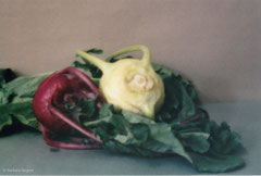 Kohlrabi 2009, Lochkamera, Diasec 30 x 40 cm