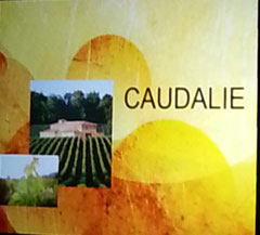 Caudalie