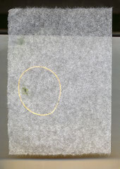 60 x 42 cm 2008