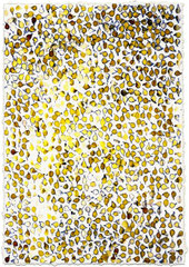 162 x 130 cm  1998 / collection privée