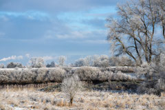 Wintertag - Ort: Elbe bei Over - Foto: Holger Tobuschat