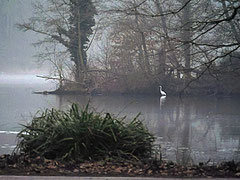 Morgenanfang an der Außenmühle in Harburg - Foto: Karl-Horst Fricke