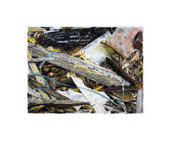 DEBRYS 2014 Öl auf Papier, 50x60cm