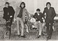 The Stallions (Steenbergen)