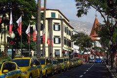 Funchal, Avenida Arriaga in Höhe des Jardim Municipal