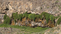 Schlucht mit dichtem  Bewuchs
