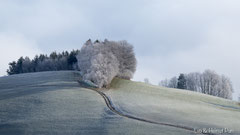 Winterlandschaft