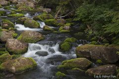 Bemooste Steine im glasklaren Wasser