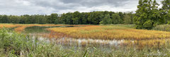 Teichlandschaft im Herbst