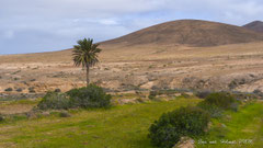 Landschaft um Tindaya