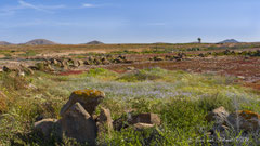 Landschaft, Rest von alter Steinmauer
