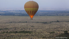 Ballon über Gnuherden in der Masai Mara