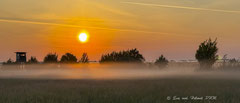 Morgenstimmung