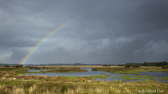 Regenbogen über Seenlandschaft