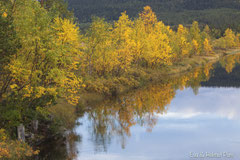 Herbstliche Verfärbung mit Spiegelbild