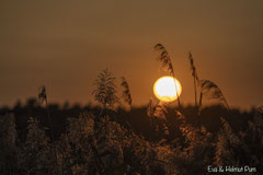 Abenndstimmung: Sonnenuntergang am Seeufer