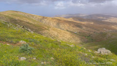 Blick in das Betancuria Tal
