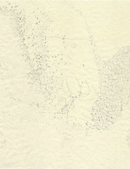 das kleine thema, 2023, 24*18,9 cm, tusche auf wasser auf awagami papier mit zeichnung