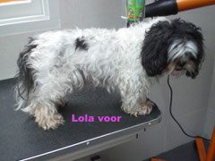 lola voor