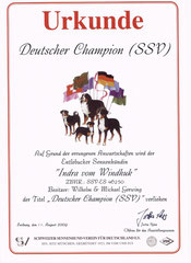 SSV Champion