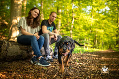 Tierfotografie, Hundefoto, Familienhund, Rottweiler, Familienfoto