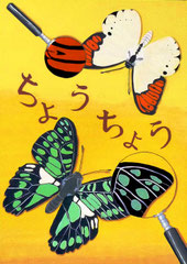 色彩構成（ちょうちょう）