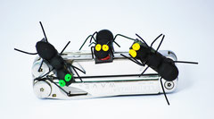 CFC - calamita formica con occhi colorati in fimo